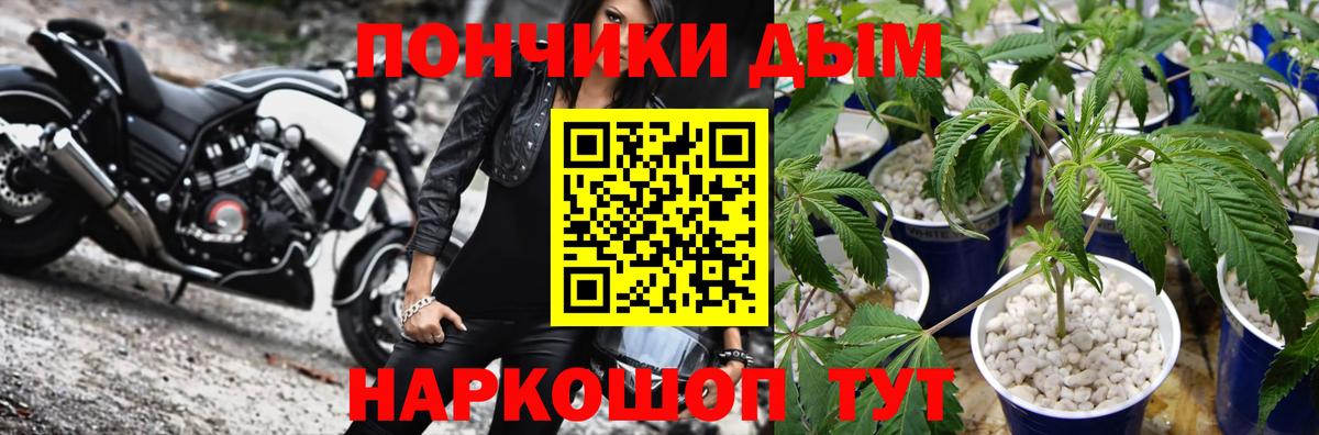 Канабис планчик  Шишки марихуана AK-47  Бошки марихуана THC 21%  Выкса  Бошки марихуана тримм  Вход с VPN 